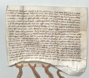 Einsiedeln, Klosterarchiv Einsiedeln, Urkunde 119 (KAE D S 3-r)